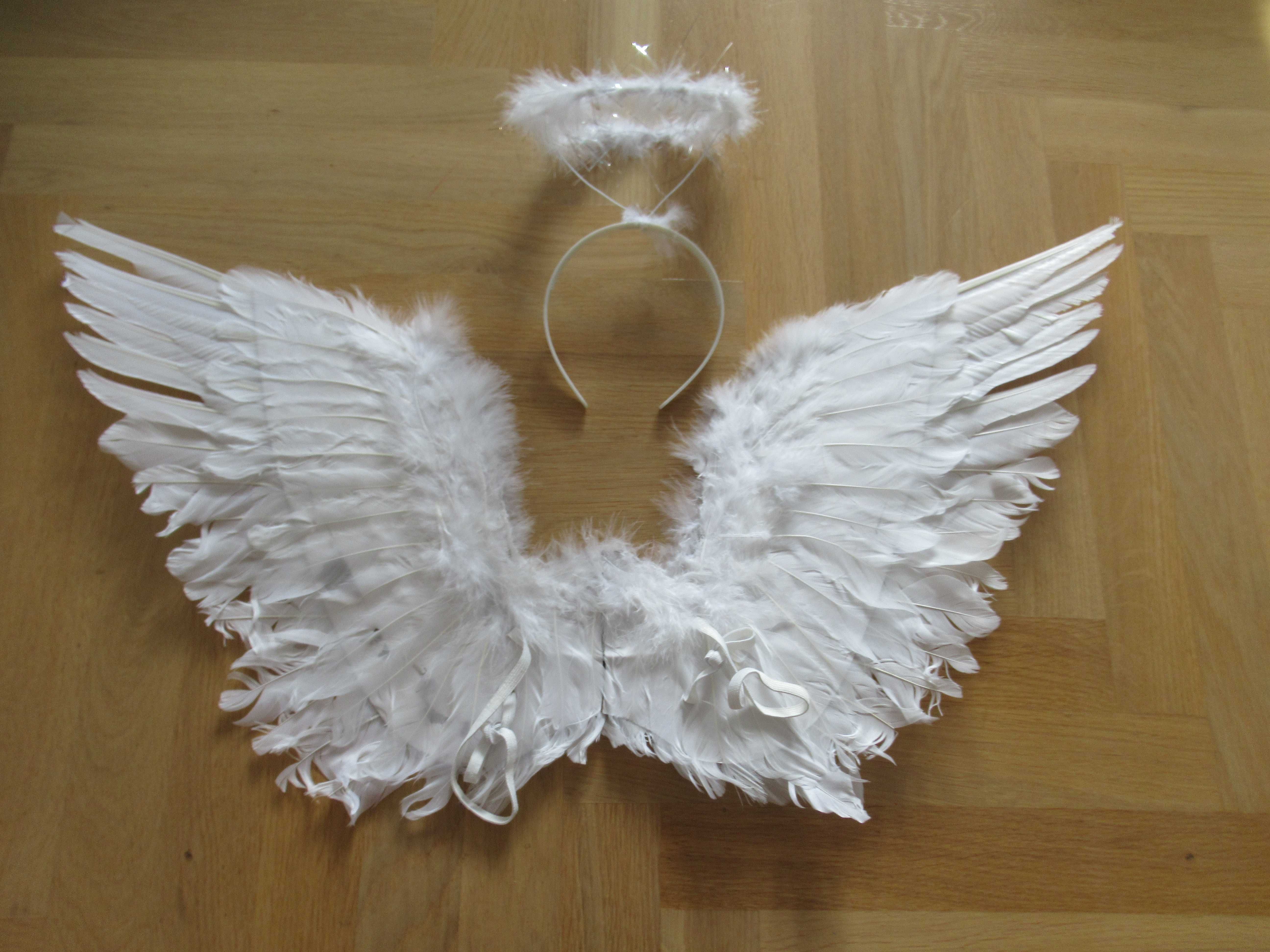 Skrzydła anioła + Aureola pióra
