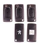 Peugeot 407 307 Citroen C5 C4 C3 C2 obudowa kluczyk pilot LOGO 308 207