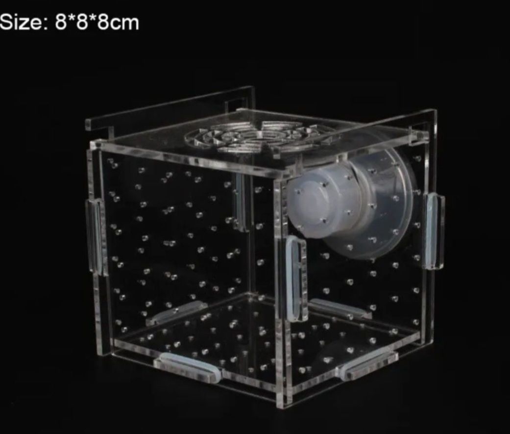 pudełko izolacyjne akwarium inkubator 8x8x8cm