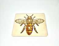 Układanka-puzzle budowa pszczoły Montessori