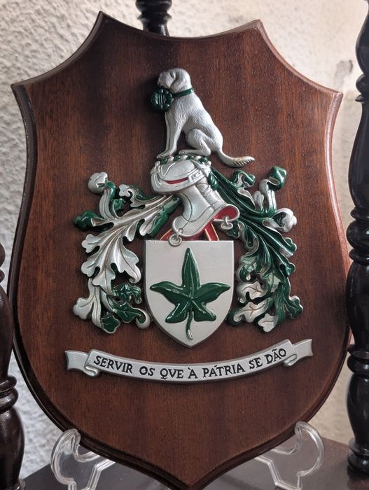 Brasão / Cresta Militar do Batalhão do Serviço de Saúde (BSS) - Extint