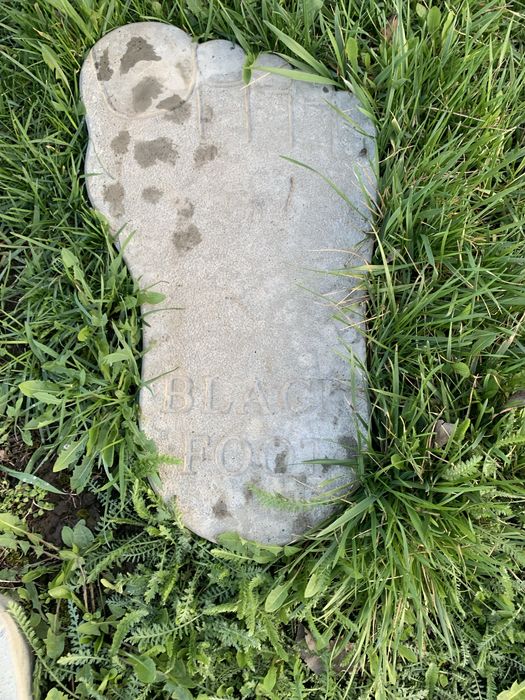 Тротуарна плитка «сліди велетня»