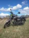 Mustang Dingo 125