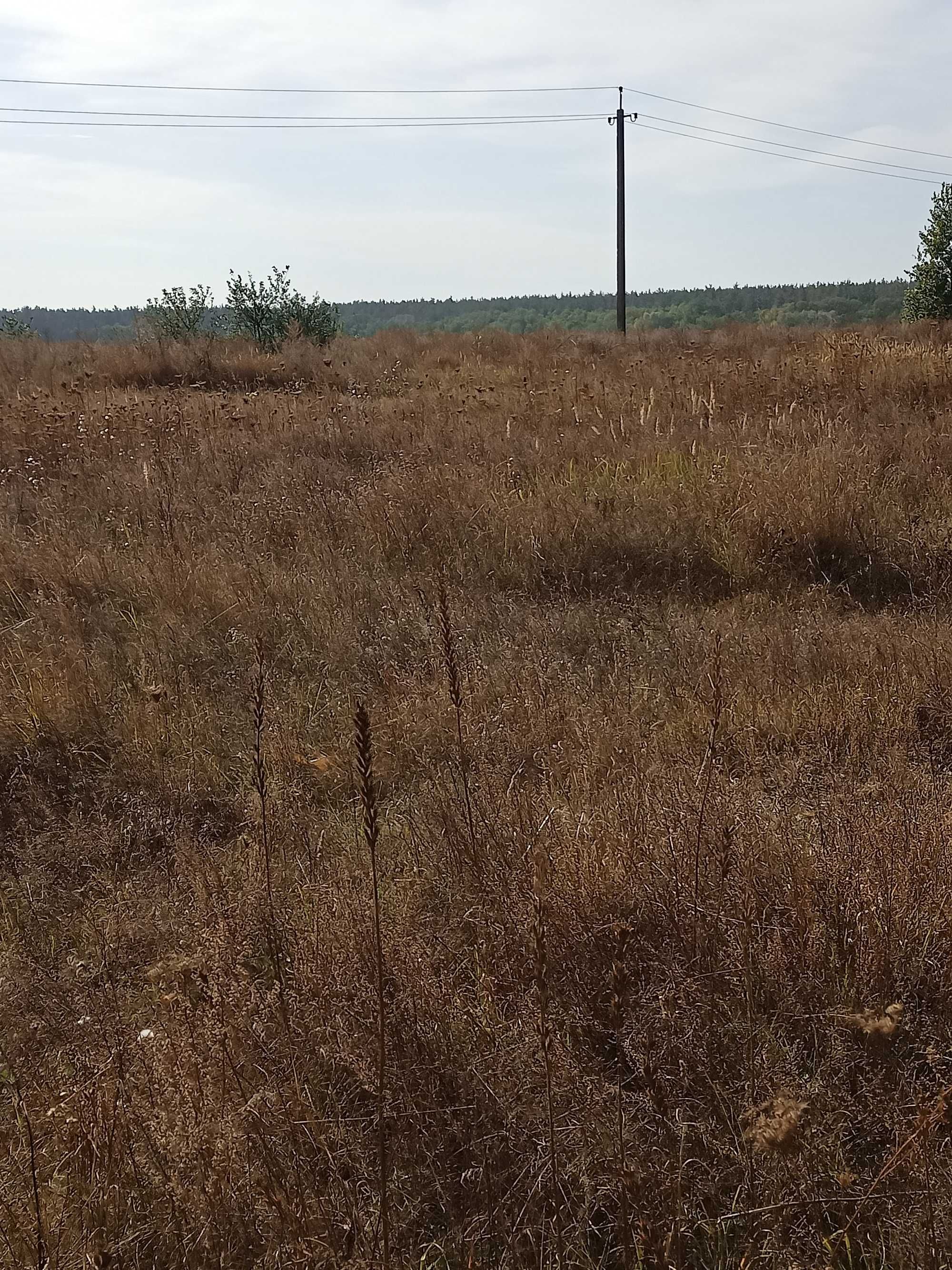 Земельна ділянка Княжичі