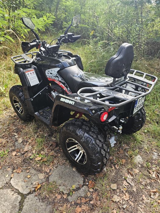 Quad wynajem na doby MIkillon Hammer