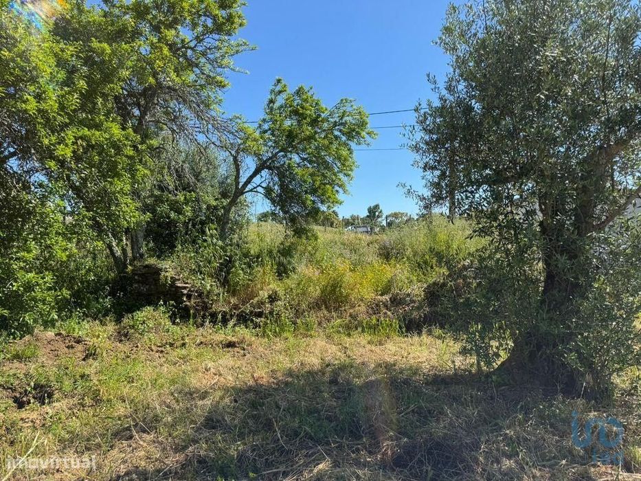 Terreno em Casais e Alviobeira de 2160,00 m2