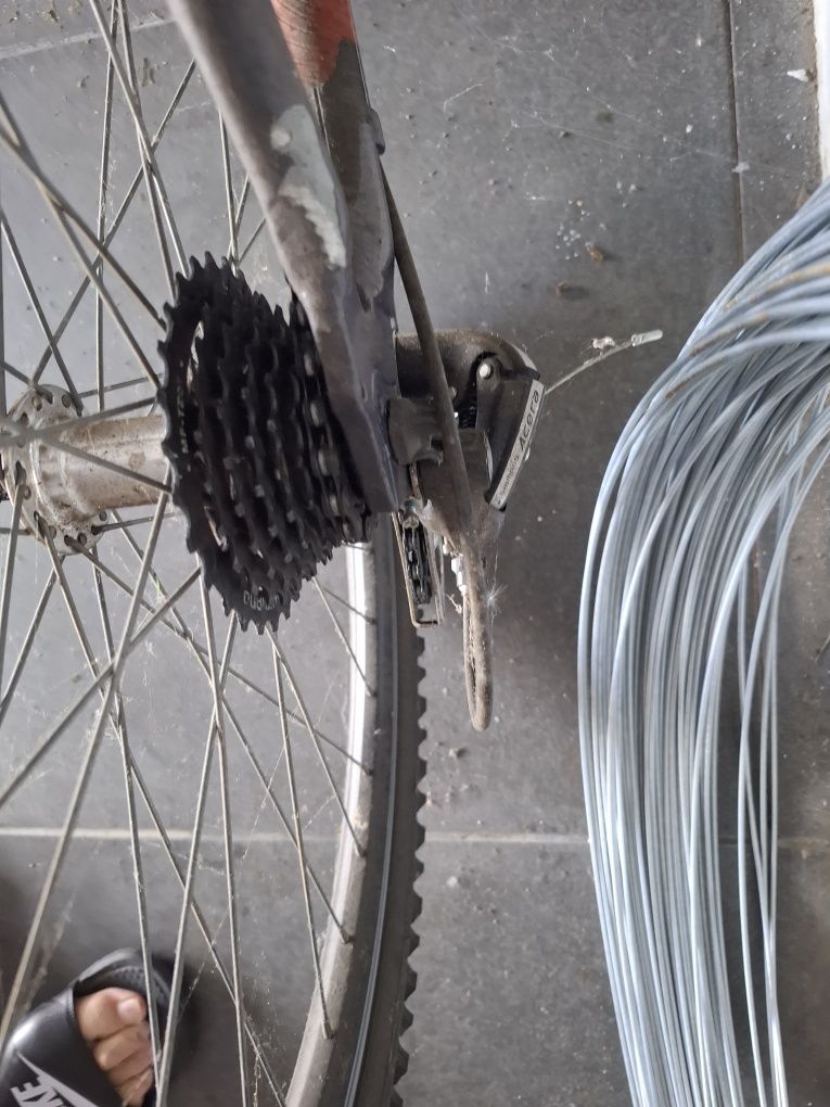 Bicicleta adulto