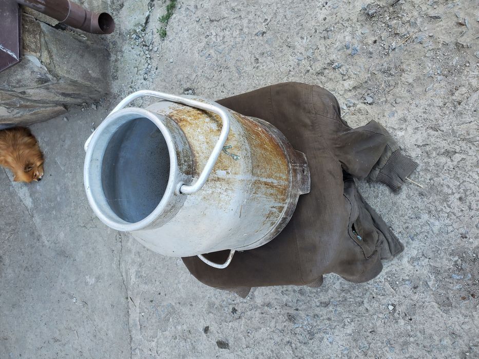 Продам Ведро доильного аппарата ведро доильное СССР