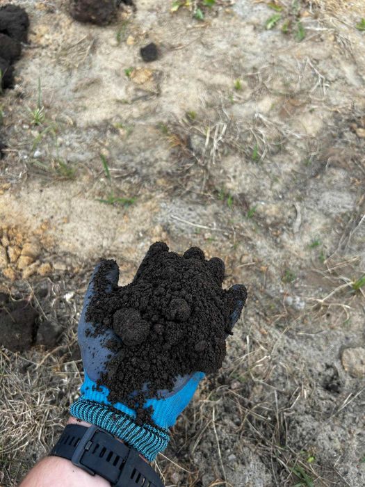 Humus | Czarna ziemia | Ziemia ogrodowa | Transport wywrotką.