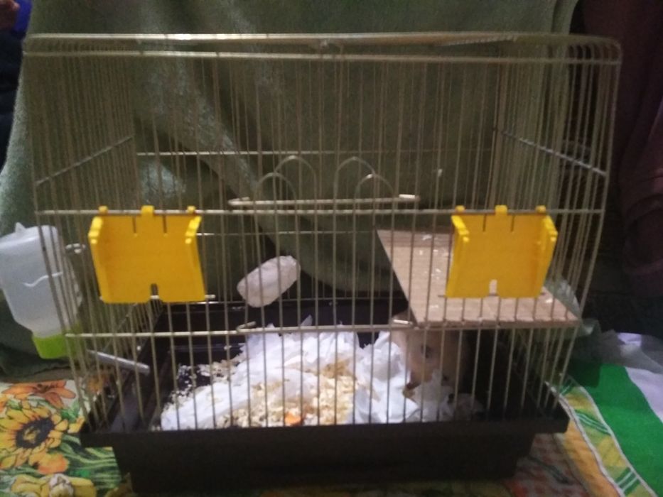 Продам клітку для гризунів або птахів