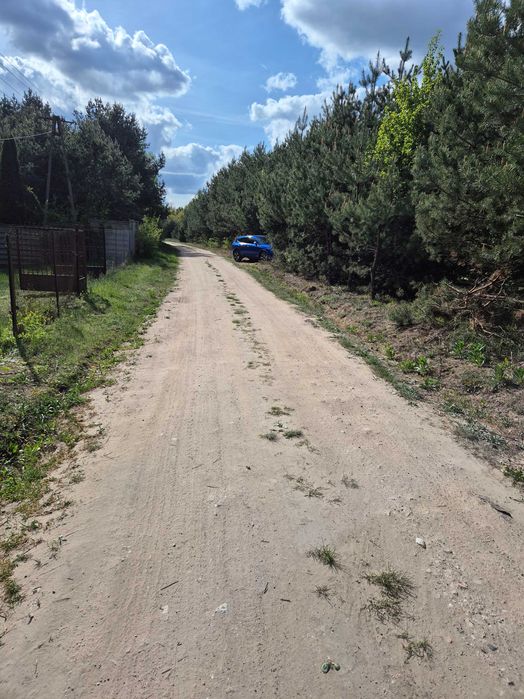 Działka nad rzeką w otoczeniu lasów
