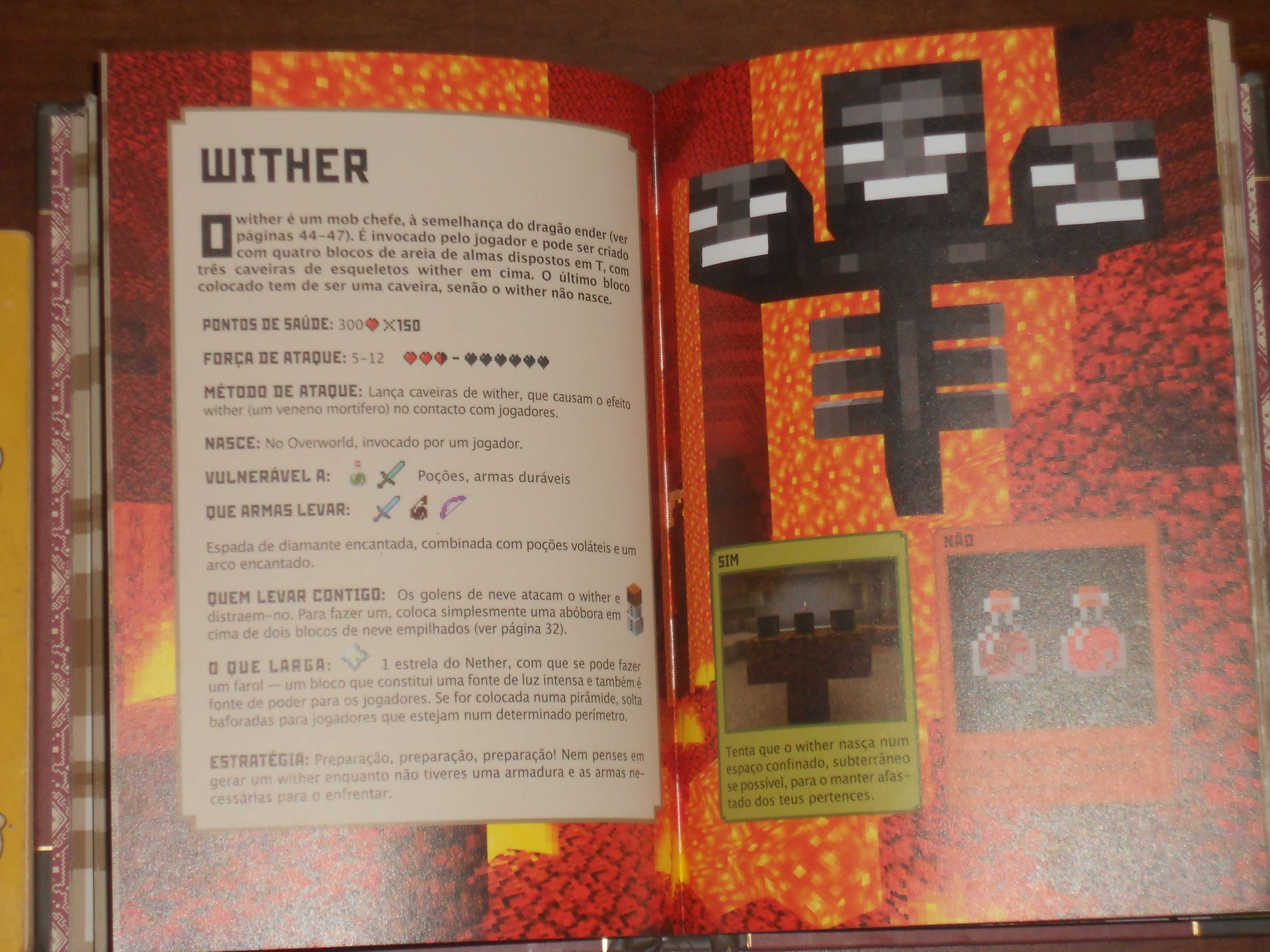 Livro Minecraft Combate