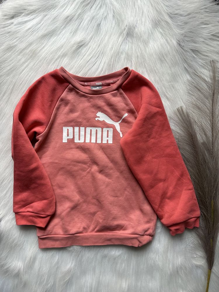 Bluza 104 Puma super stan