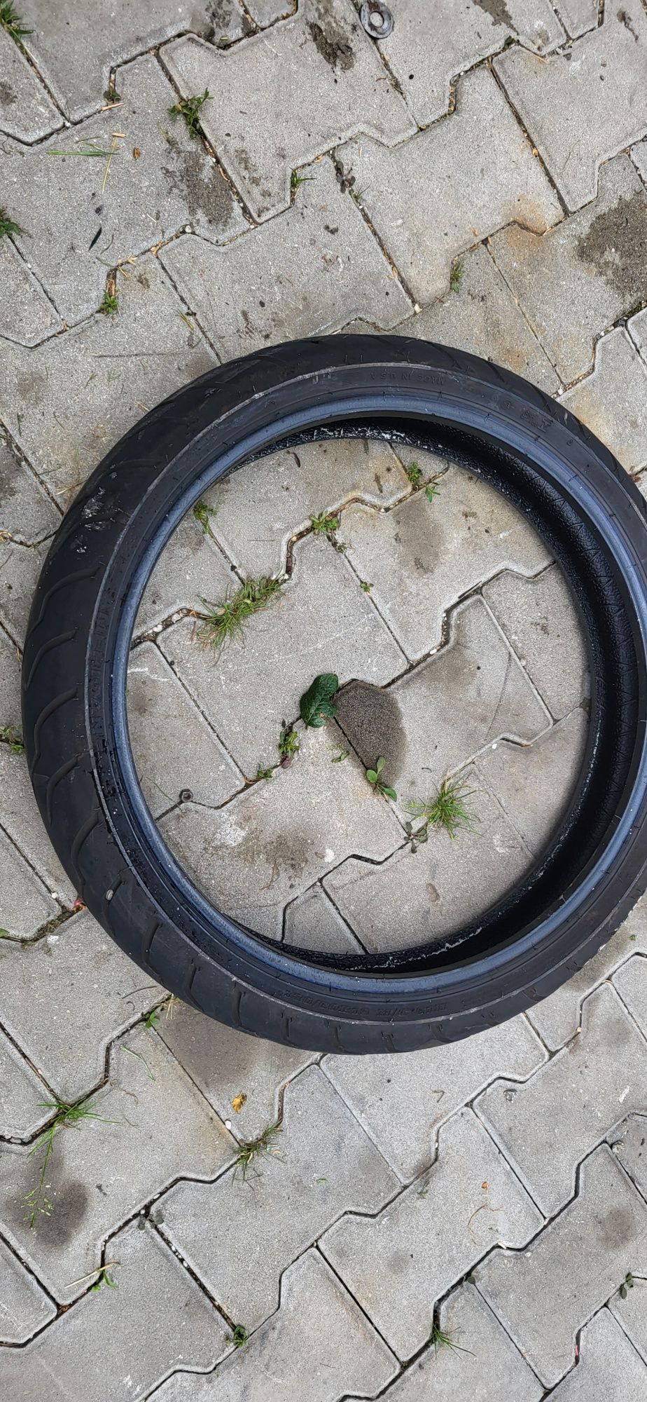 Opona nr c392 dunlop 130/60-19 amerikan elitę