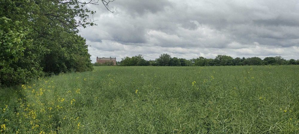 Działka na sprzedaż - idealna inwestycja!