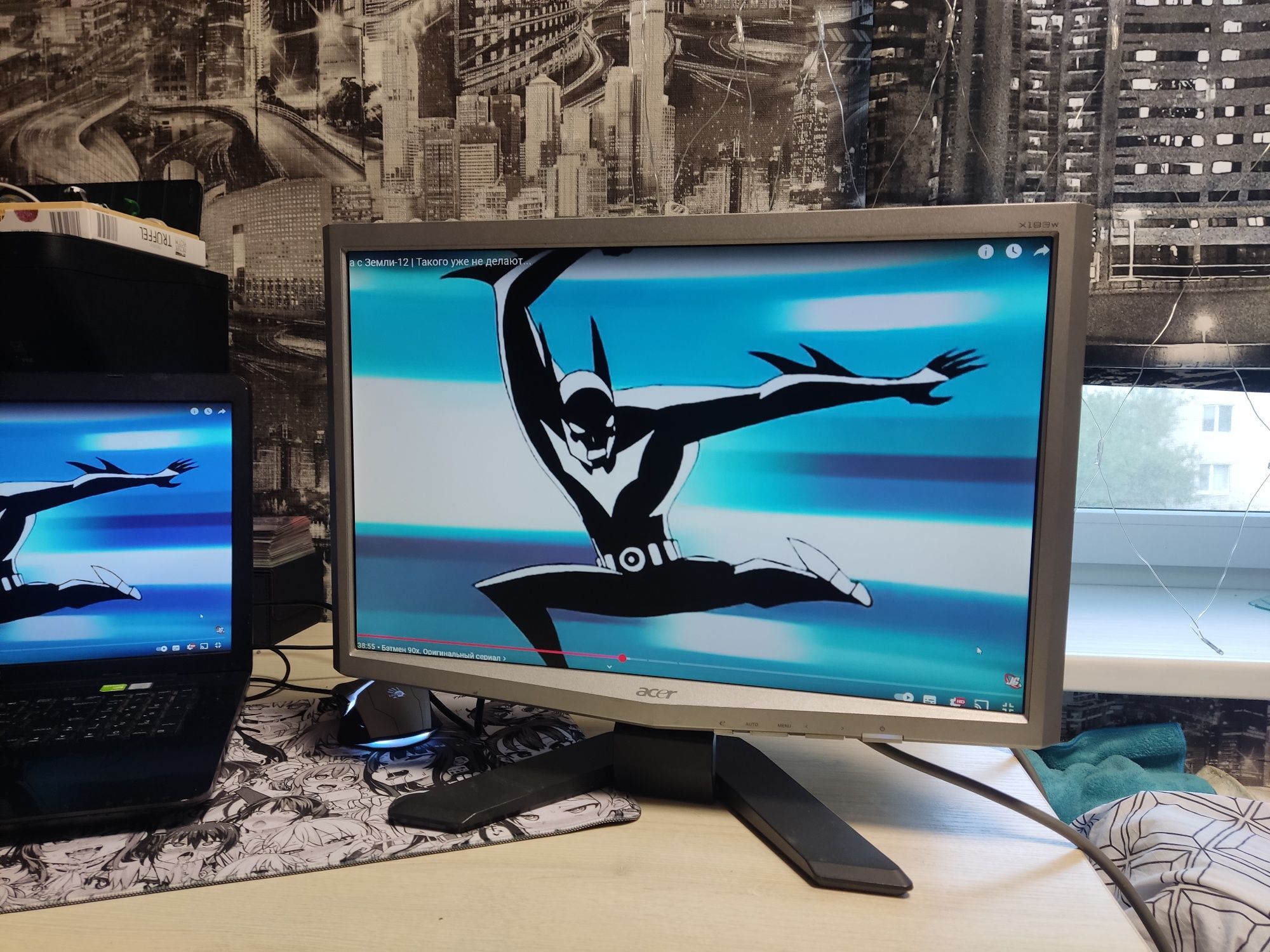 Монітори Acer x193w(19")