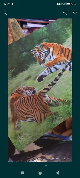 3д картинки,8 штук