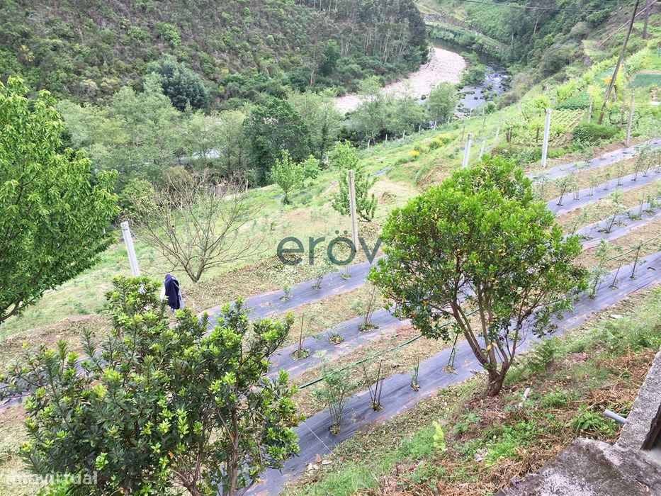 Quinta em Arouca - Moldes