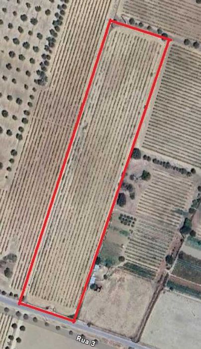 Terreno Vinha Courela da Capela