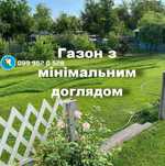 Газон Доггі з мінімальним доглядом насіння газонної трави Doggy