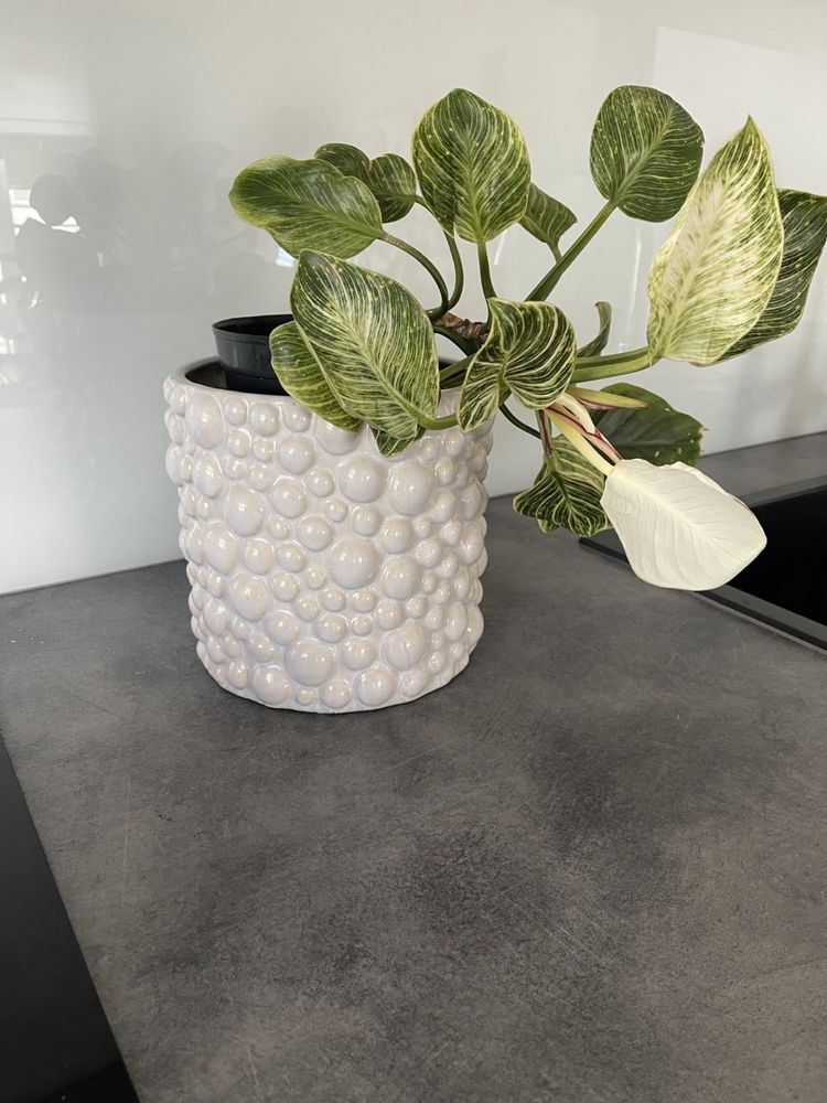 Doniczka Jotex 20 x 18
