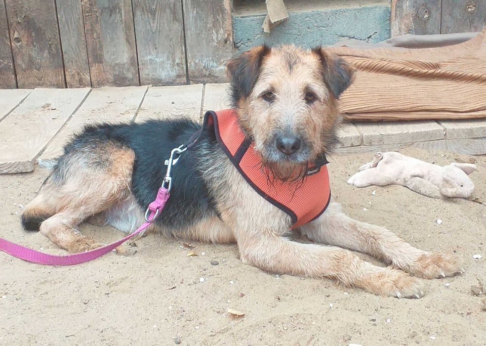 Terry czeka na szansę od życia, na własną rodzinę