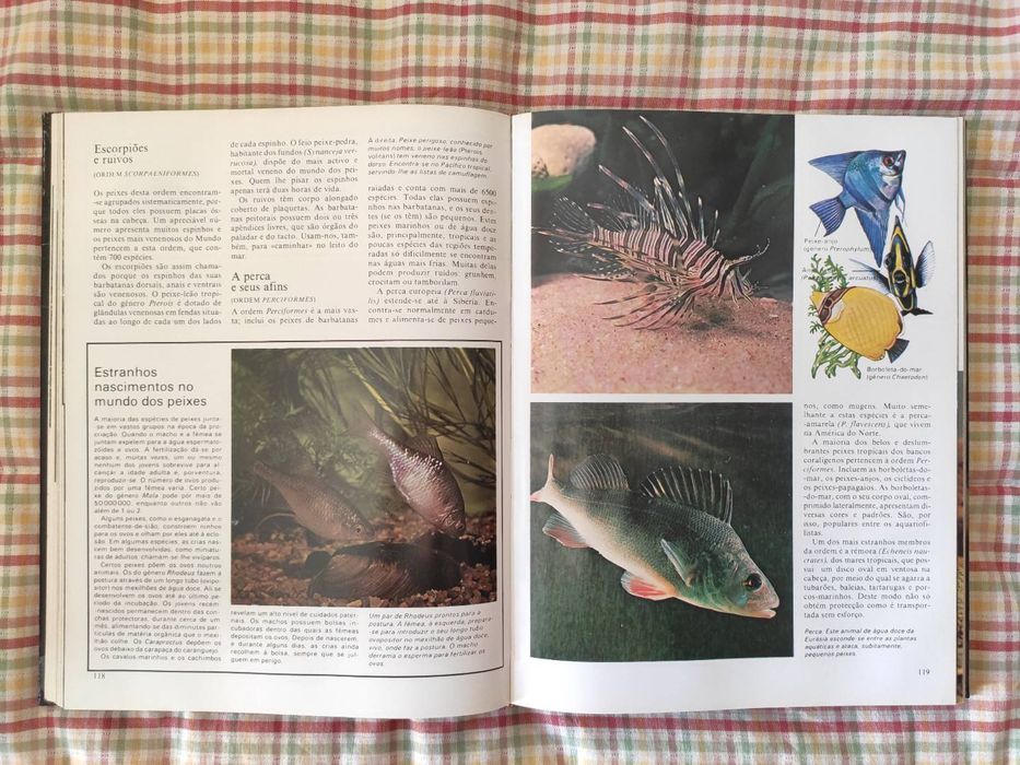 Enciclopédia da Vida Animal