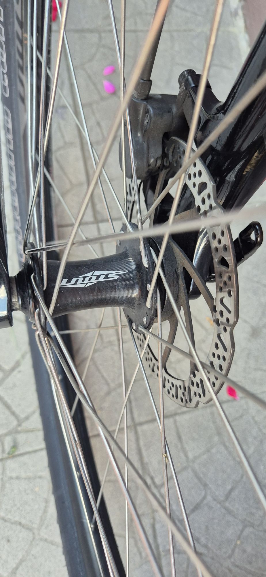 Specialized Pitch Comp