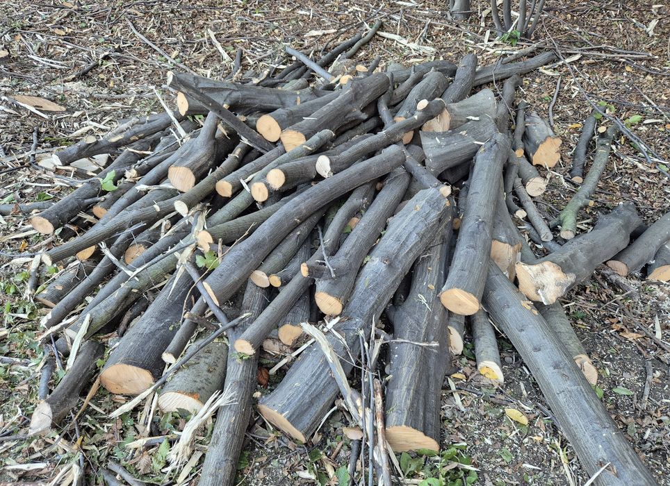 Drewno opałowe mieszane