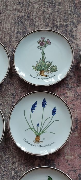 Rosenthal " Z miłości do natury" 12 talerzy