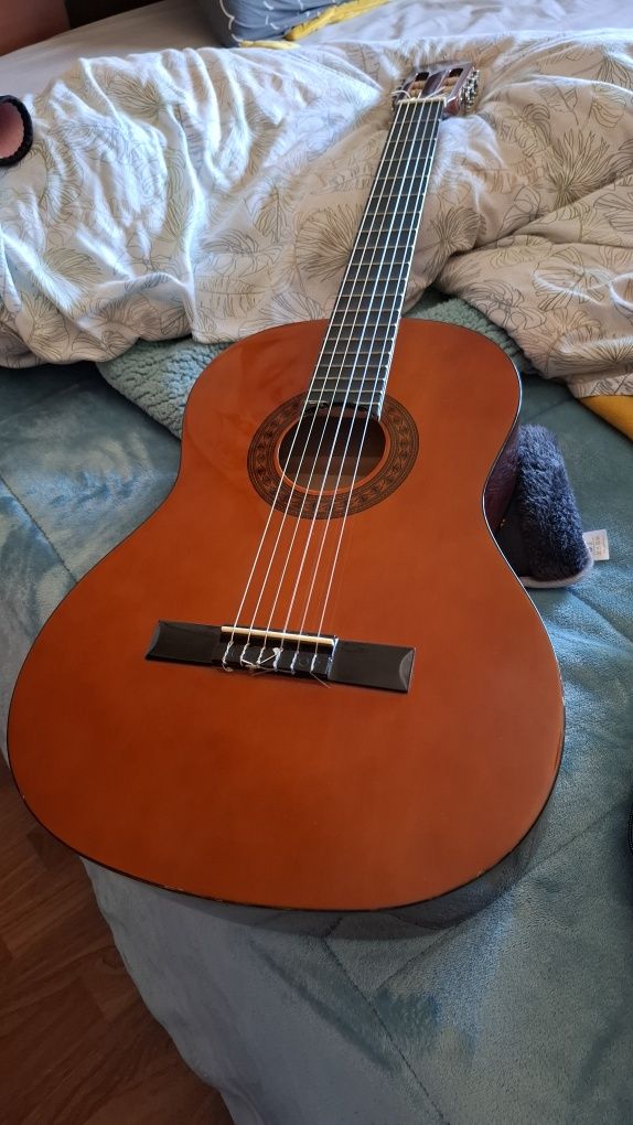 Viola stagg c542