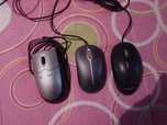 ratos novos para pc