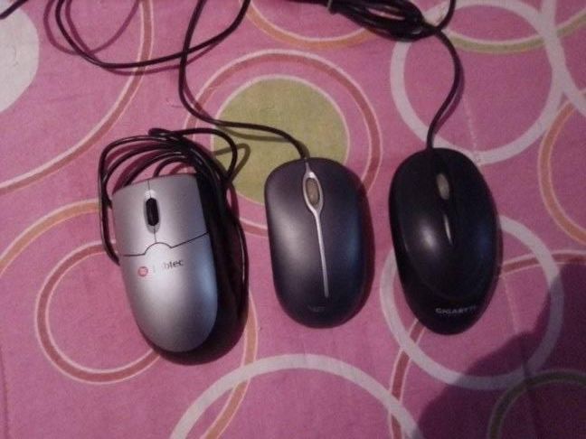 ratos novos para pc