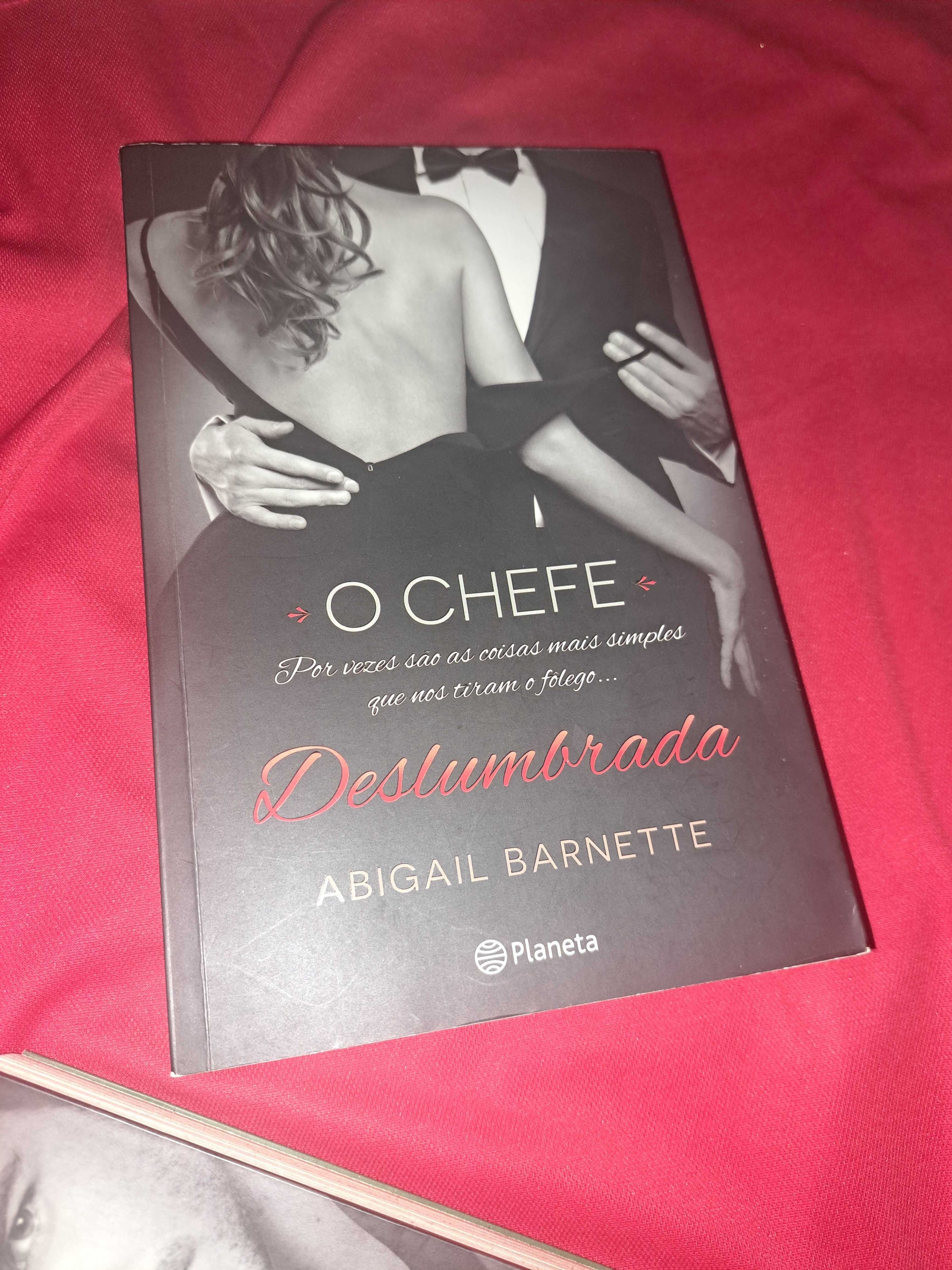 Livro O Chefe de Abigail Barnette - praticamente novos