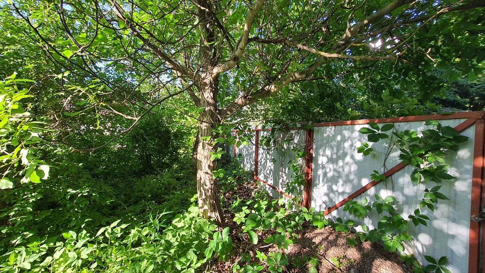 Глеваха 1 садівництво дача