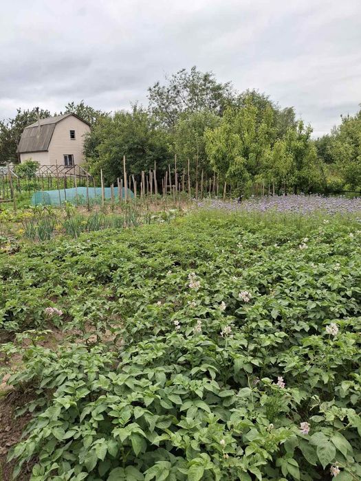 Дачный участок с/о" Сокол"