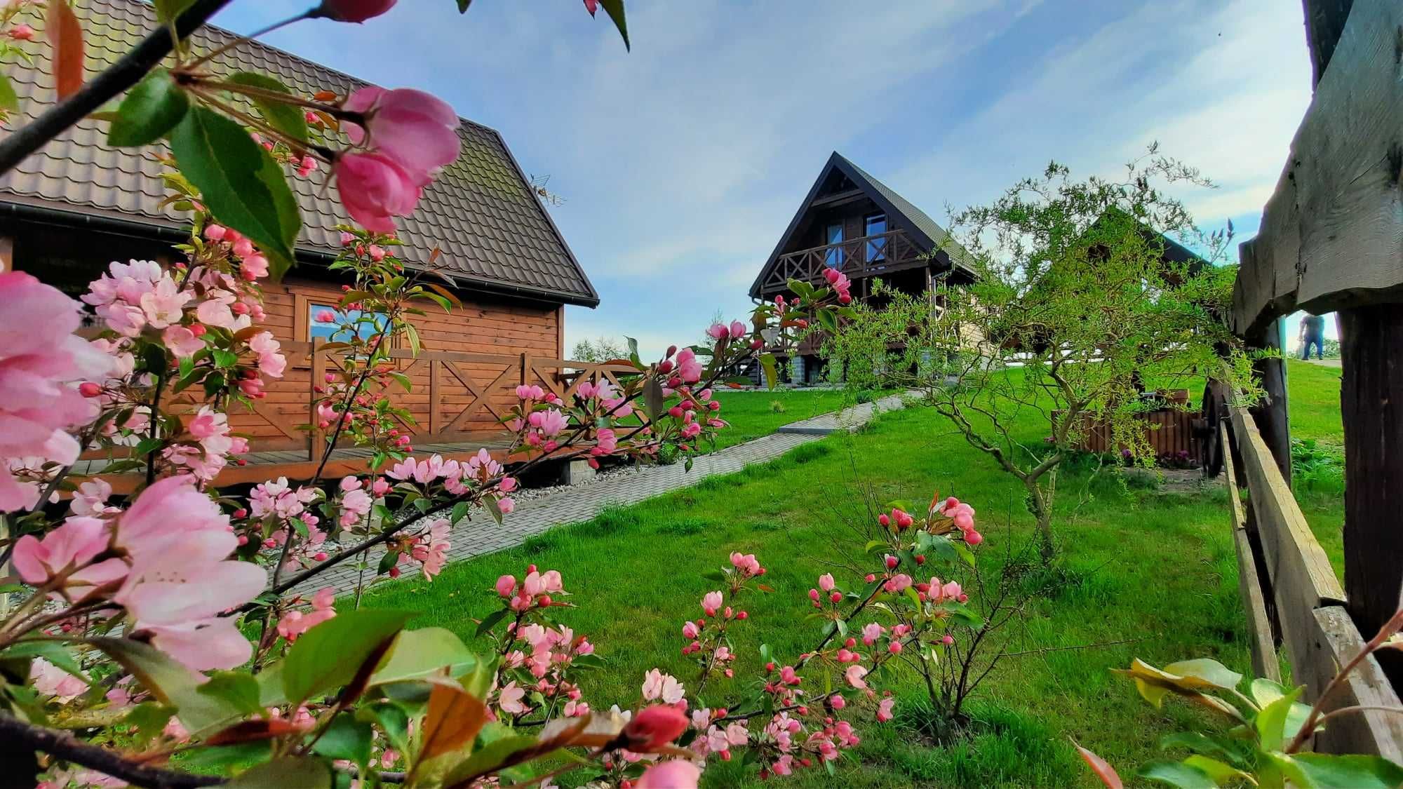 Domki letniskowe Cichosza Miłomłyn Mazury. Wolne terminy!!