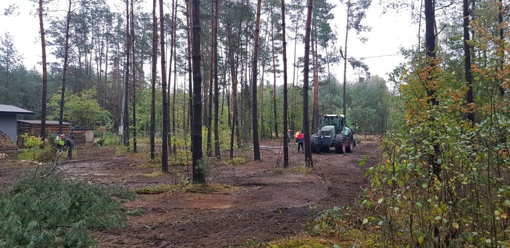 Karczowanie Wycinka drzew Mulczer  Czyszczenie działek mulczowanie