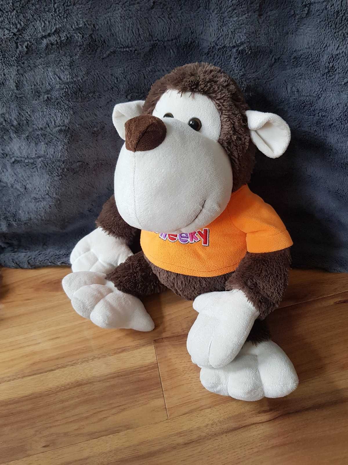 małpka w pomarańczowej koszulce Cheeky Monkey Card Factory szympans