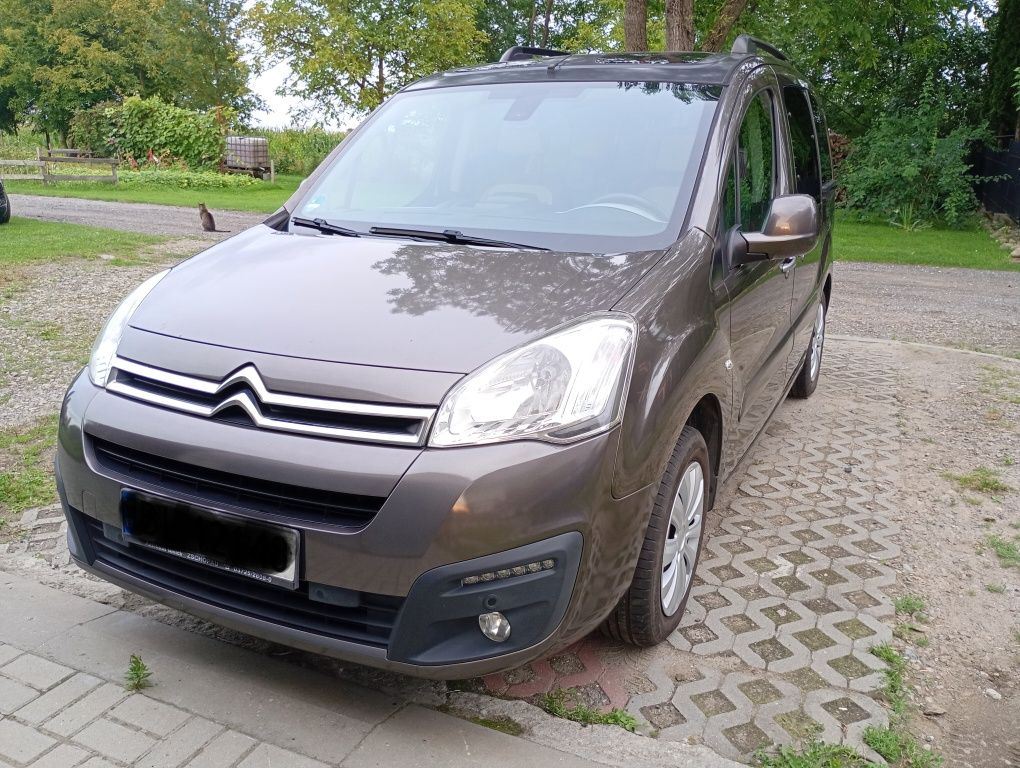 Citroen Berlingo Multispace 1.6 16v Benzyna