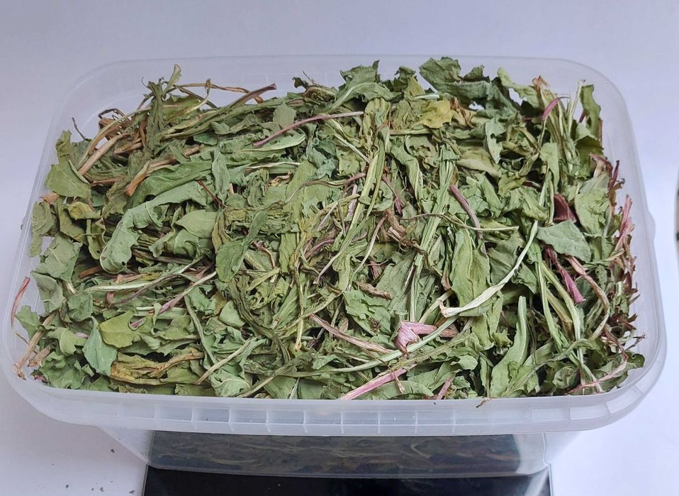 mniszek lekarski liść  120 g  #królik #koszatniczka #kawia