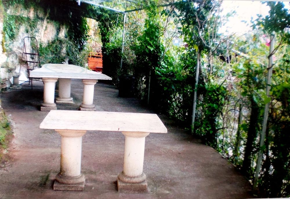 Terreno rústico com casa madeira de apoio ao parque lazer