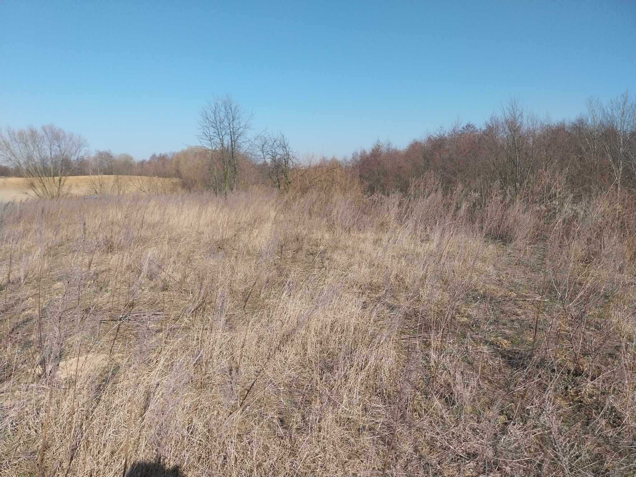 Działka budowlano-rekreacyjna 2900m2 nad jeziorem z linią brzegową