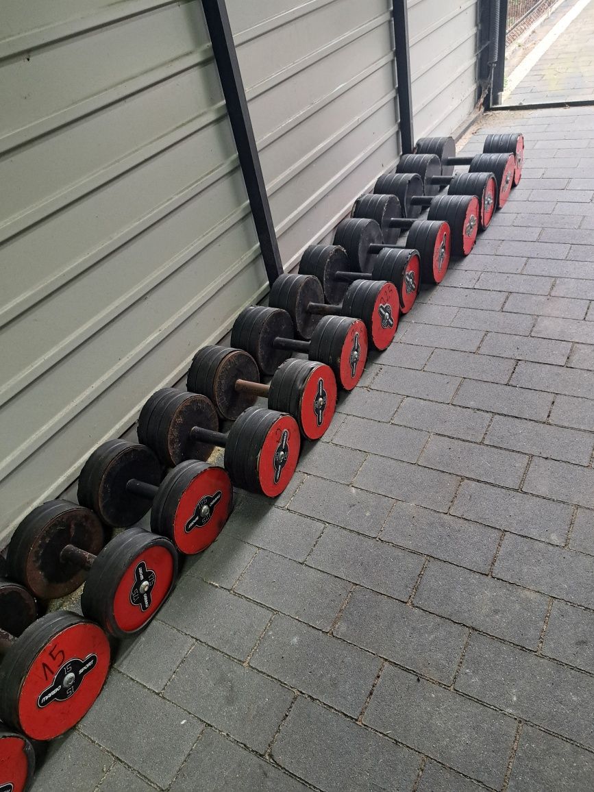 Zestaw hantli Marbo Sport 385kg