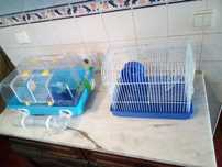 Conjunto de 2 Gaiolas de Roedor
