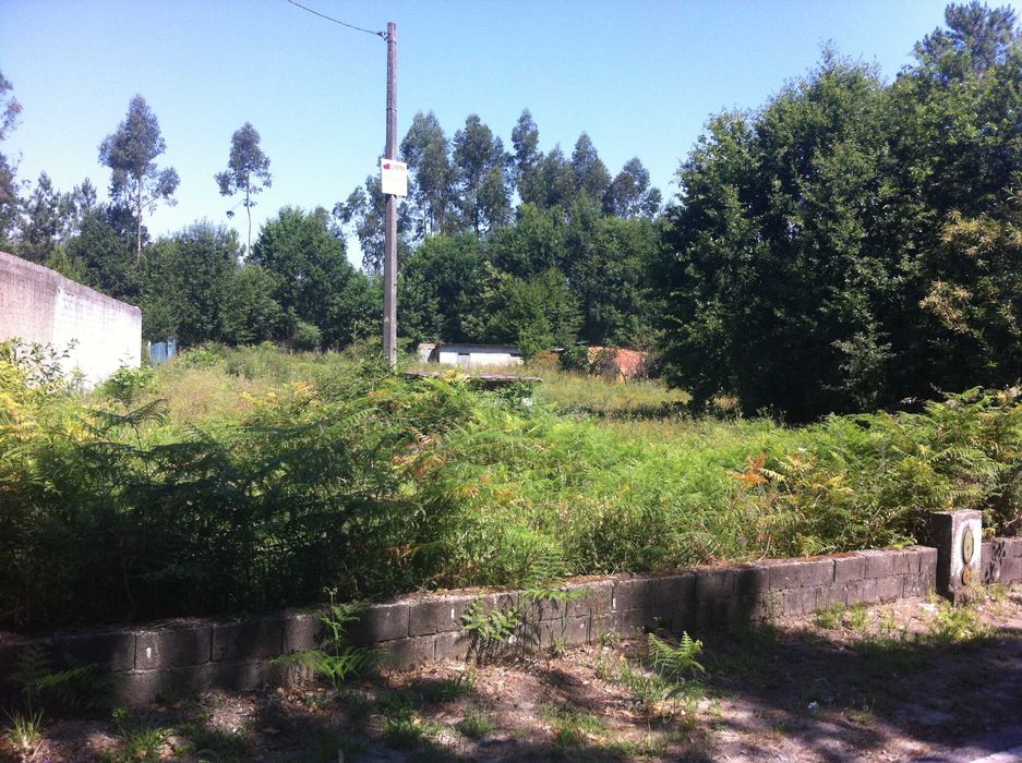Terreno torredeita viseu