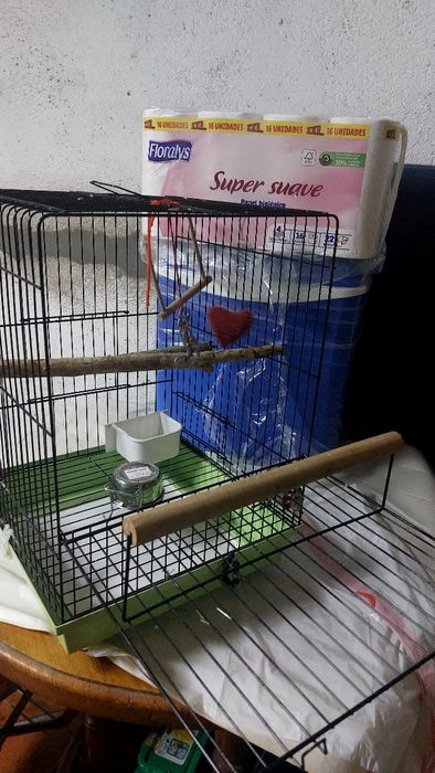 Gaiola Aves domésticas