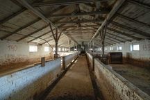 Продам свинокомплекс в с.Хмелівка, Рівненського району.