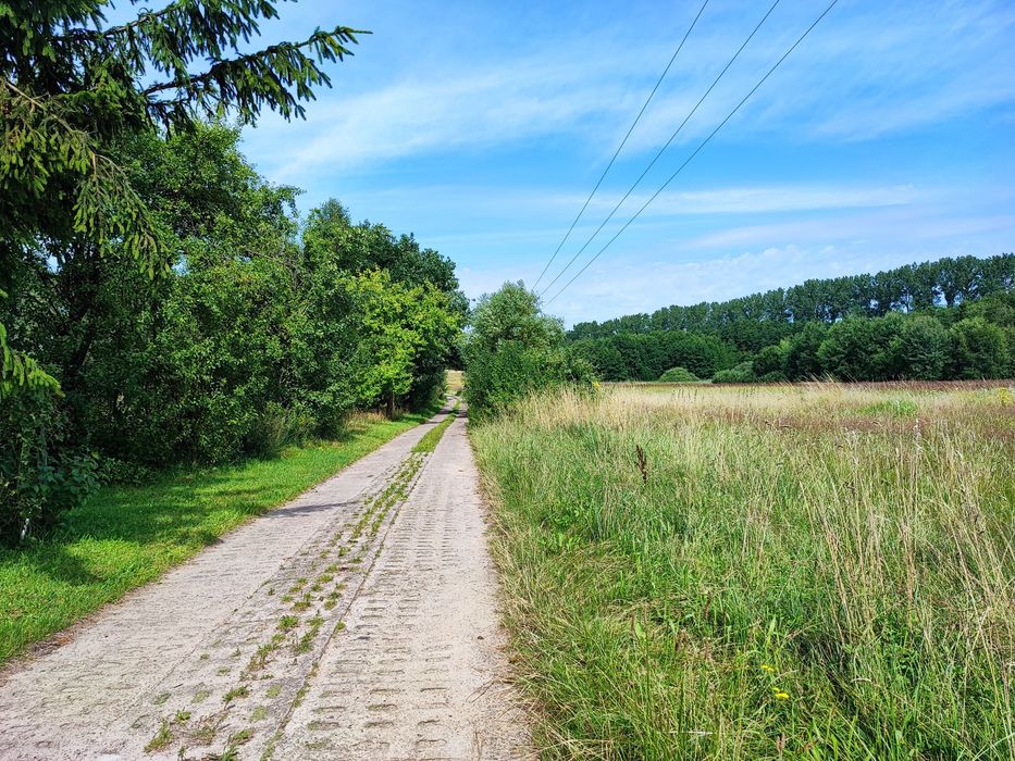 1450mkw Ostatnia działka budowlana 10km do J. Woświn Anielino