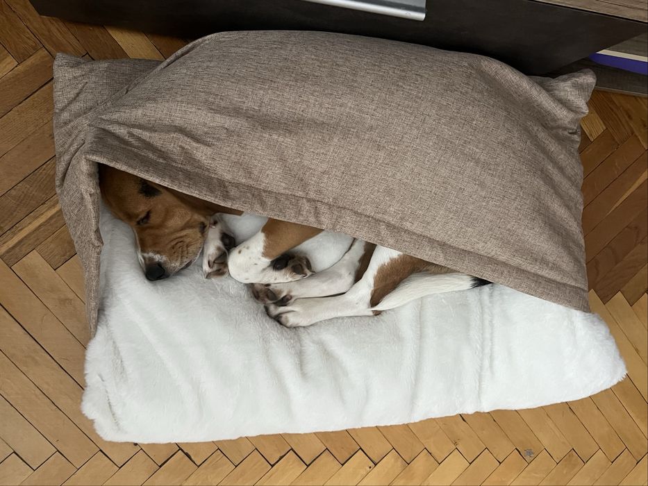 Лежанка ліжко лежак новий 58х73см з капюшоном для собаки